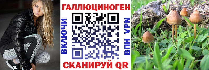 Псилоцибиновые грибы мицелий Кологрив